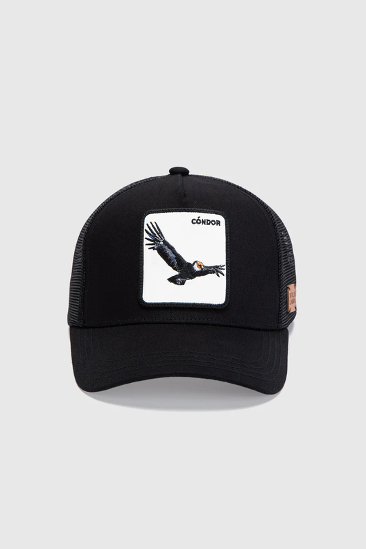 JOCKEY WILD LAMA CÓNDOR NEGRO