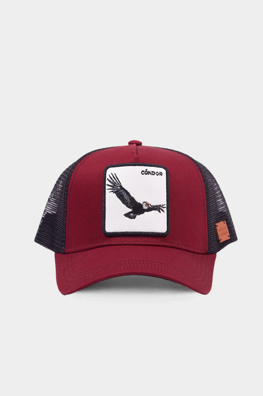 JOCKEY WILD LAMA CÓNDOR BURDEO